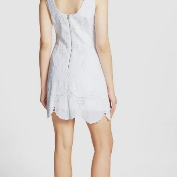 White Scallop Lace Fabric - Picture 4 of 15